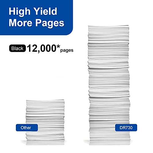 DR730 Drum Unit (NOT Toner) Compatible Replacement for Brother DR730 DR 730 Compatible with HL-L2350DW HL-L2395DW HL-L2390DW HL-L2370DW MFC-L2750DW MFC-L2710DW DCP-L2550DW Printer (2 Drum)