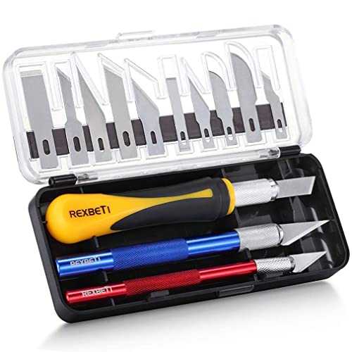 REXBETI 16 Piece Precision Hobby Craft Knife Set, with 10 Piece Refill SK5 Blades, Suitable for Halloween Pumpkin Carving, Art Modeling, Scrapbooking and Sculpture