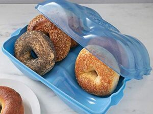 bagel fresh container (1 count, holds 6) fresh bagel keeper & airtight container for bread storage – bagel saver container – eco friendly, reusable bagel storage container