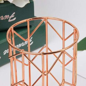 Pen Holder for Desk, Make Up Brush Holder Rose Gold Metal Wire Pencil Cup Holders