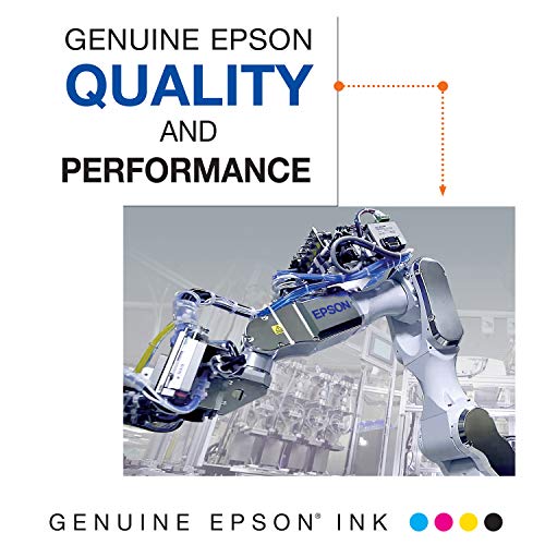 Epson T222 Black and Color Combo Ink Cartridges, Standard Capacity