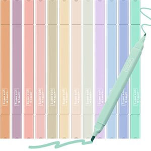 12 pcs aesthetic cute highlighters bible highlighters mild assorted colors dual tips marker pen chisel and fine tips quick dry eye protection for office home school and arts stationery square