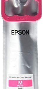 Epson Original - -Ink - -Cartridge Magenta Model R02L320 Small