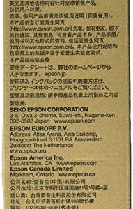 Epson Original - -Ink - -Cartridge Magenta Model R02L320 Small