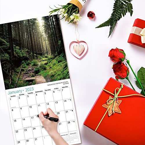 2023 Wall Calendar, 14 Monthly Wall Calendar PATHWAY Nov. 2022 - Dec. 2023, 12" x 24" Opened, Full Page Months Thick Paper for Gift Calendar Organizing Planning