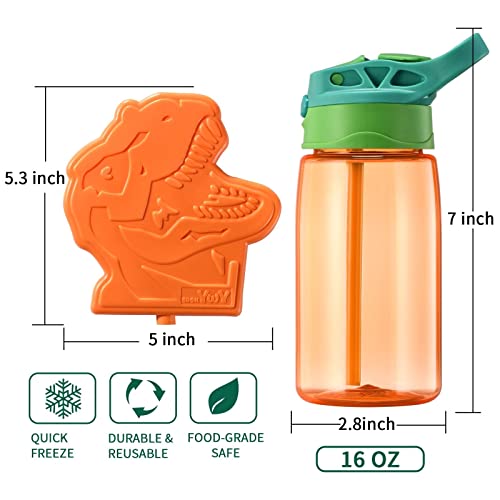BDBKYWY 3D Dinosaur Lunch Box Kids Bento Box Insulated Lunch Bag with Ice Pack Water Bottle Spoon Salad Snack Container Silicon Cap Durable Water-Resistant Back to School Supplies for Boys Age 7-12