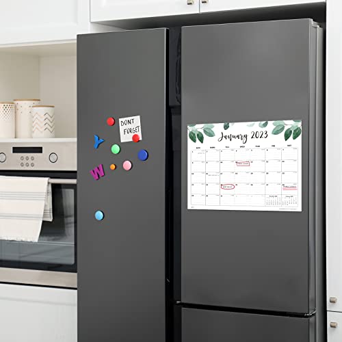 Magnetic Calendar for Fridge, Cabbrix Fridge Calender Runs From Jan 2023 - Jun 2024, Refrigerator Calendar 15 x 12 Inches for Planning and Organizing Your Life