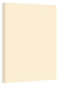 cream pastel color card stock paper, 67lb cover medium weight cardstock, for arts & crafts, coloring, announcements, stationary printing at school, office, home | 8.5 x 11 | 50 sheets per pack
