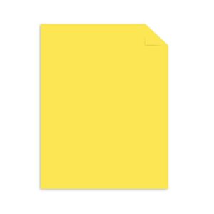 Astrobrights Mega Collection, Colored Paper, Punchy Pastel Lemon Twirl, 625 Sheets, 24 lb./89 gsm, 8.5" x 11" - MORE SHEETS! (91731)