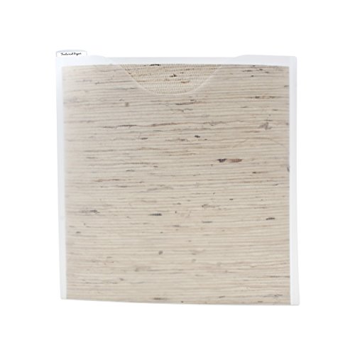 Storage Studios Paper File 3-Pack, 12.75 x 12.95 x 0.13 Inches, Clear (CH92602)