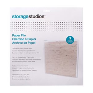 Storage Studios Paper File 3-Pack, 12.75 x 12.95 x 0.13 Inches, Clear (CH92602)