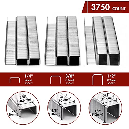 Arrow T50 Heavy Duty Staple Gun Kit, All Chrome Steel Stapler, with 3750 Pieces T50 1/4", 3/8", 1/2" Staples, for Upholstery Professional Projects