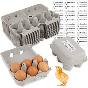 Stock Your Home Split Apart Egg Cartons (15 Pack) - One Dozen Egg Cartons - Splits in Half Dozen Egg Cartons - Holds 180 Total Eggs - Eco-Friendly Egg Containers - 30 Labels for Writing Sell by Date