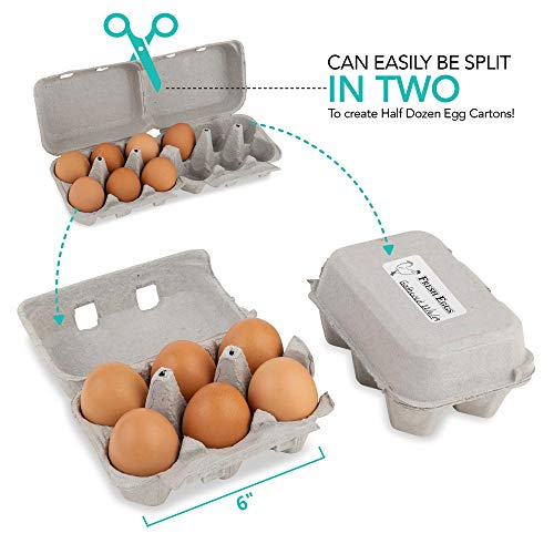 Stock Your Home Split Apart Egg Cartons (15 Pack) - One Dozen Egg Cartons - Splits in Half Dozen Egg Cartons - Holds 180 Total Eggs - Eco-Friendly Egg Containers - 30 Labels for Writing Sell by Date