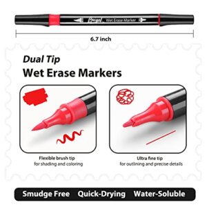 Wet Erase Markers Dual Tip, Lazgol 12 Assorted Colors, Dual Tip Brush & Ultra Fine Overhead Transparency Smudge Free Markers for Dry Erase Whiteboard, Refrigerator Calendars, Glass, Films and Any Kind of Wet Erase Surface, Erase with Water