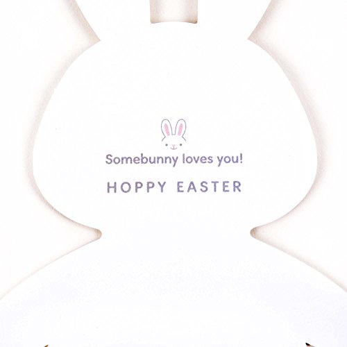 Hallmark Signature Easter Card for Kids (Fuzzy Plush Bunny)