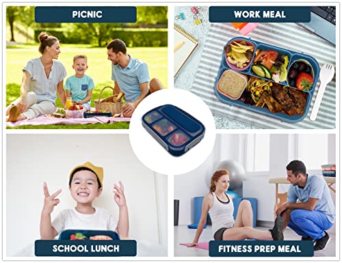 HappyRhino Bento Lunch Box for Kids Adult,4 Compartment Bento Box Adult Lunch Box Containers,Kids Lunch Box with Fun Accessories Silicone Food Cake Cups, Cute Food Picks for Kids,Easy to Clean (BLUE)