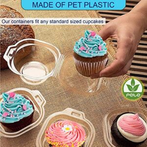 MAQ's 100 Packs Individual Cupcake Containers, Stackable Single Compartment Transparent Cupcake Boxes for Muffins, BPA Free Plastic Disposable Cupcake Carrier with Airtight Lid for Wedding