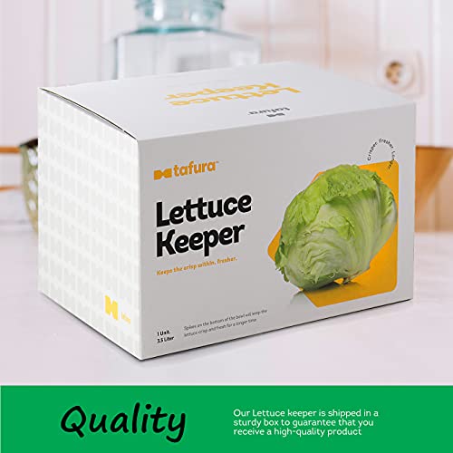 Tafura Lettuce Keeper for Fridge, Lettuce Crisper, Vegetable Saver with Cover, Lettuce Storage Container with Lid, Crisp and Fresh Greensaver, Salad Saver Box.