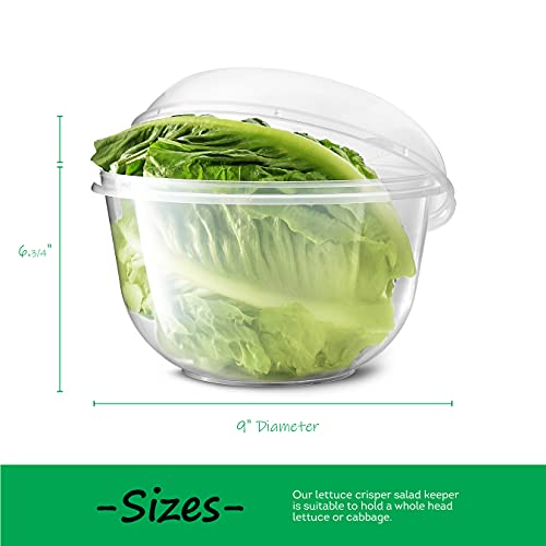 Tafura Lettuce Keeper for Fridge, Lettuce Crisper, Vegetable Saver with Cover, Lettuce Storage Container with Lid, Crisp and Fresh Greensaver, Salad Saver Box.