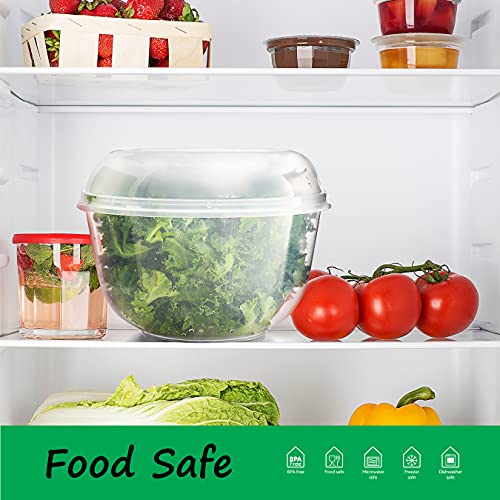 Tafura Lettuce Keeper for Fridge, Lettuce Crisper, Vegetable Saver with Cover, Lettuce Storage Container with Lid, Crisp and Fresh Greensaver, Salad Saver Box.