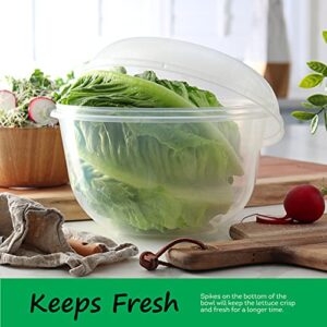 Tafura Lettuce Keeper for Fridge, Lettuce Crisper, Vegetable Saver with Cover, Lettuce Storage Container with Lid, Crisp and Fresh Greensaver, Salad Saver Box.