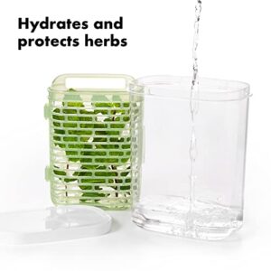 OXO Good Grips GreenSaver Herb Keeper- 1.8 QT