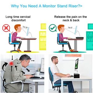 Marbrasse Monitor Stand Riser, 16.5 Inch 2 Tier Computer Monitor Stand, Printer Shelf Stand for Laptop Computer Screen Storage, Desktop Stand with Phone Holder and Cable Management Black