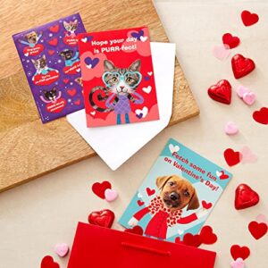 Hallmark Kids Valentines Day Cards and Stickers Assortment, Puppies and Kittens (24 Cards with Envelopes)