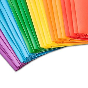 Amazon Basics Heavy Duty Plastic Folders with 2 Pockets for Letter Size Paper, Pack of 12