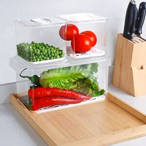 REFSAVER Fridge Storage Containers Produce Saver Stackable Refrigerator Organizer Bins with Removable Drain Tray Fridge Organizer for Fruits and Vegetables 3 Pack