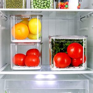 REFSAVER Fridge Storage Containers Produce Saver Stackable Refrigerator Organizer Bins with Removable Drain Tray Fridge Organizer for Fruits and Vegetables 3 Pack