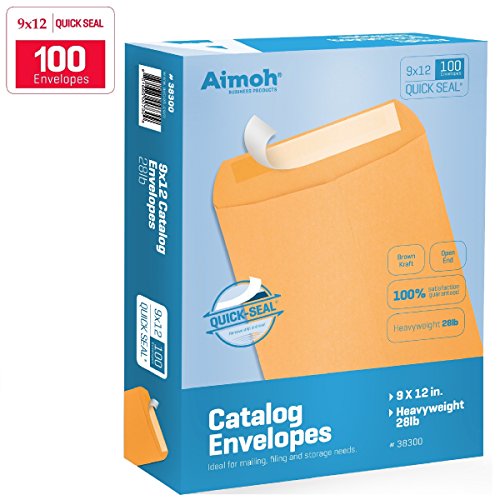 9 X 12 Self-Seal Brown Kraft Catalog Mailing Envelopes - 28lb - 100 Count, 9x12 Inch (38300)