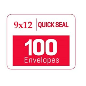 9 X 12 Self-Seal Brown Kraft Catalog Mailing Envelopes - 28lb - 100 Count, 9x12 Inch (38300)