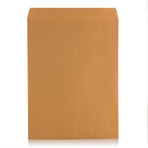 9 X 12 Self-Seal Brown Kraft Catalog Mailing Envelopes - 28lb - 100 Count, 9x12 Inch (38300)