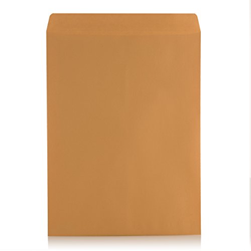 9 X 12 Self-Seal Brown Kraft Catalog Mailing Envelopes - 28lb - 100 Count, 9x12 Inch (38300)