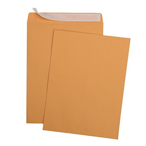 9 X 12 Self-Seal Brown Kraft Catalog Mailing Envelopes - 28lb - 100 Count, 9x12 Inch (38300)