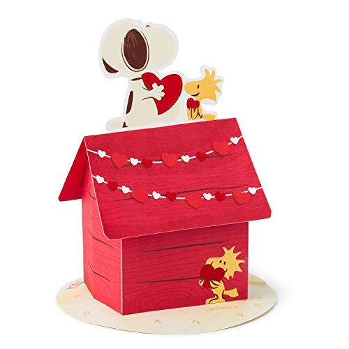 Hallmark Paper Wonder Peanuts Pop Up Valentines Day Card (Snoopy and Woodstock)