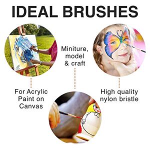 Professional Artist Paint Brush Set of 12 - Painting Brushes Kit for Kids, Adults Fabulous for Canvas, Watercolor & Fabric - for Beginners and Professionals - Great for Water, Oil or Acrylic Painting