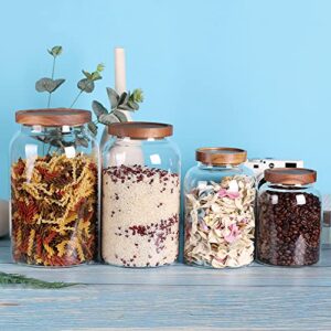 LEAVES AND TREES Y Large Glass Jar with Lid, 1 Gallon Large glass Storage Containers with Wooden Lid for Laundry Room, Big Glass Canisters with Airtight Lid Suit for Rice Container Jar, Cookie Jar