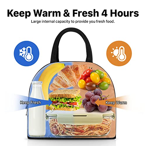 DANIA & DEAN Insulated Lunch Bag, Durable Freezable Lunch Box for Women/Men/Kids Double Zippers Wide Open Tote Bag Leakproof Thermal and Cooler Reusable Lunch Box for Office/School/Outdoor(Black)