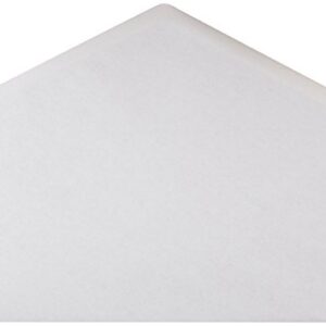 Amazon Basics #10 Security Tinted Business Envelopes, Moisture Sealed, 4-1/8 x 9-1/2 Inch - Pack of 500, White