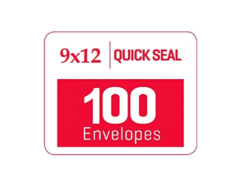 100 9 x 12 SELF Seal Security White Catalog Envelopes - 28lb - Security Tinted, Ultra Strong Quick-Seal, 9x12 inch (38100)