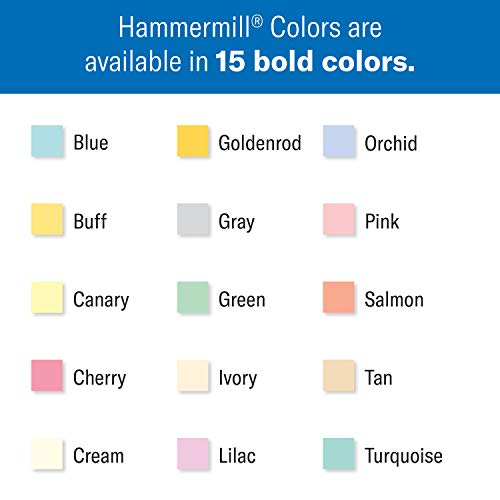 Hammermill Colored Paper, 20 lb Blue Printer Paper, 8.5 x 11-1 Ream (500 Sheets) - Made in the USA, Pastel Paper, 103309R