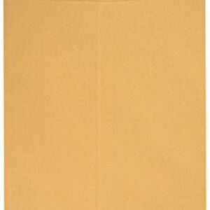 100 9 X 12 Self Seal Golden Brown Kraft Catalog Envelopes - Designed for Secure Mailing - Oversize Strong Peel and Seal Flap with 28 Pound Kraft Paper- 100 Envelopes