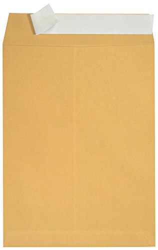 100 9 X 12 Self Seal Golden Brown Kraft Catalog Envelopes - Designed for Secure Mailing - Oversize Strong Peel and Seal Flap with 28 Pound Kraft Paper- 100 Envelopes