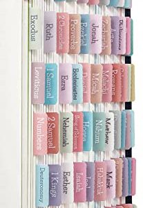 Cream Pastel Bible Tabs, Laminated Bible Tabs for Women and Girl, 90 Bible Tabs Old and New Testament, Includes 24 Blank Tabs, Bible Journaling Supplies, Bible Book Tabs, Christian Gift