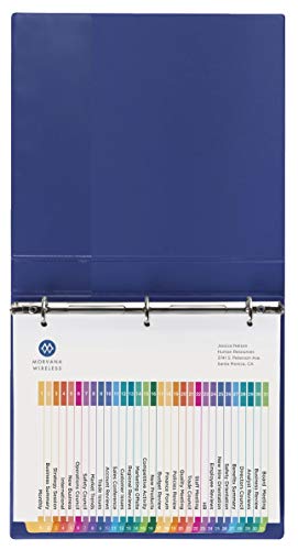 Avery 31-Tab Dividers for a 3 Ring Binders, Customizable Table of Contents, Multicolor Tabs, 1 Set (11129)