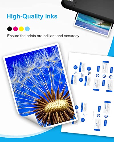 67 67XL Ink Cartridges Remanufactured Ink Cartridge for HP 67 XL 67XL Combo Pack for Envy 6055e 6055 6052 6075 Envy Pro 6455e 6455 6475 6452 6458 DeskJet 4155 2755e 2755 4052 (1 Black, 1 Tri-Color)