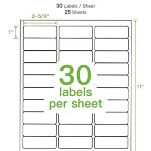 NELKO Address Labels, 1" x 2-5/8" Shipping Address Labels for Laser & Inkjet Printers, Mailing Sticker Labels, Easy to Pee for FBA Label (25 Sheets, 750 Labels)